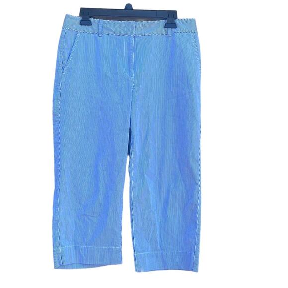 Talbots blue and white wide crop Capri pants size 8P (waist 32) - Picture 1 of 13